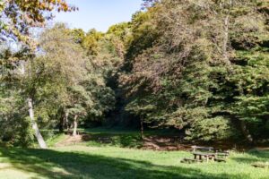 Ср. Карловци: Обавештење o сечи дрвећа, грана и растиња у заштитном појасу далековод